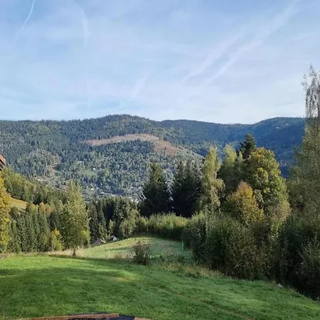 In La Bresse Near Slopes, Cleaning Included Villa