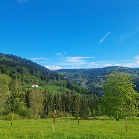 Βίλα In La Bresse Near Slopes, Cleaning Included Le Ménil