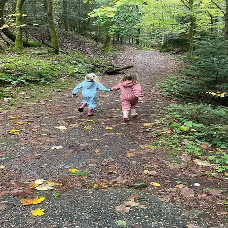 In La Bresse Near Slopes, Cleaning Included Βίλα *