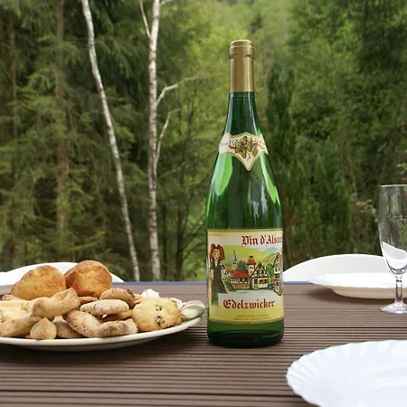 In La Bresse Near Slopes, Cleaning Included Βίλα Le Ménil