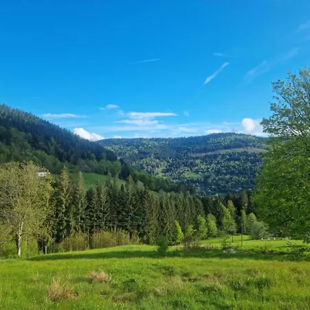In La Bresse Near Slopes, Cleaning Included
