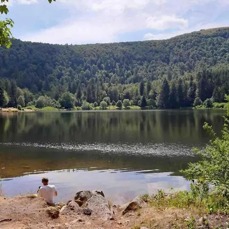 In La Bresse Near Slopes, Cleaning Included Villa
