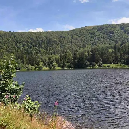 In La Bresse Near Slopes, Cleaning Included Villa *