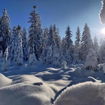 In La Bresse Near Slopes, Cleaning Included