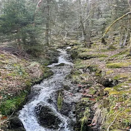 In La Bresse Near Slopes, Cleaning Included * Le Ménil