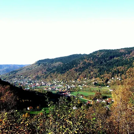 In La Bresse Near Slopes, Cleaning Included Βίλα Le Ménil