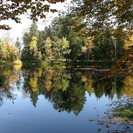 Βίλα In La Bresse Near Slopes, Cleaning Included Le Ménil