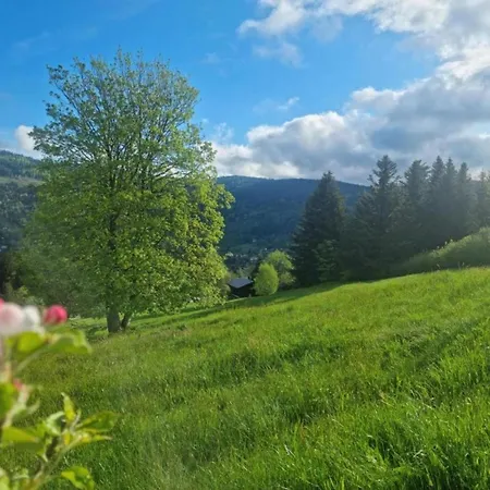 In La Bresse Near Slopes, Cleaning Included *