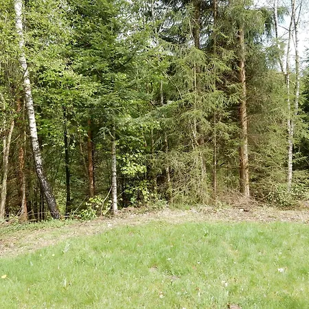 In La Bresse Near Slopes, Cleaning Included Villa