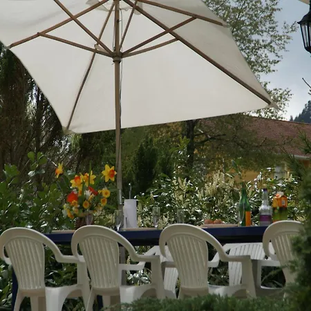 In La Bresse Near Slopes, Cleaning Included * Le Ménil
